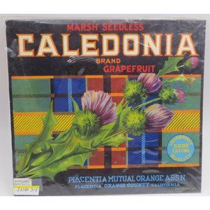 Vtg MARSH Grapefruit Packing Crate Label JHE316